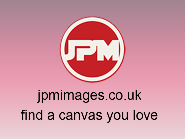 JPM images - find a canvas you love